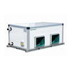 RUIDONG High-Efficiency Ceiling Air Handling Unit with Advanced Purification and Smart Controls