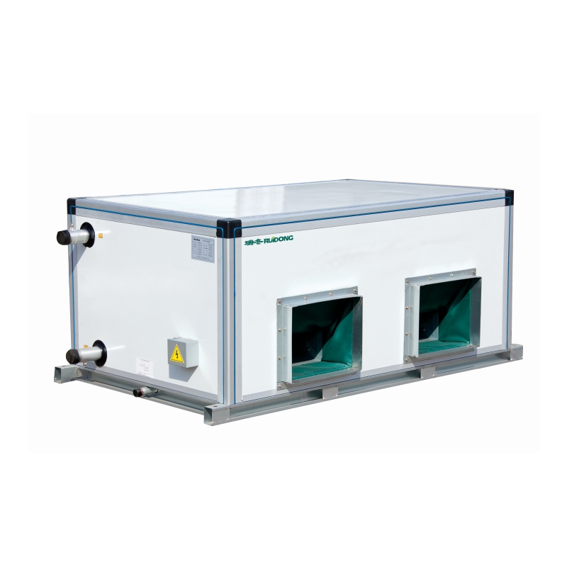 RUIDONG High-Efficiency Ceiling Air Handling Unit with Advanced Purification and Smart Controls
